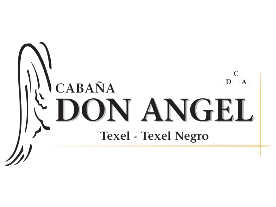 Cabaña Don Angel Logo